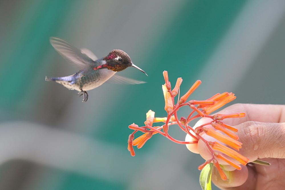 (James Bloor Griffiths/Shutterstock)