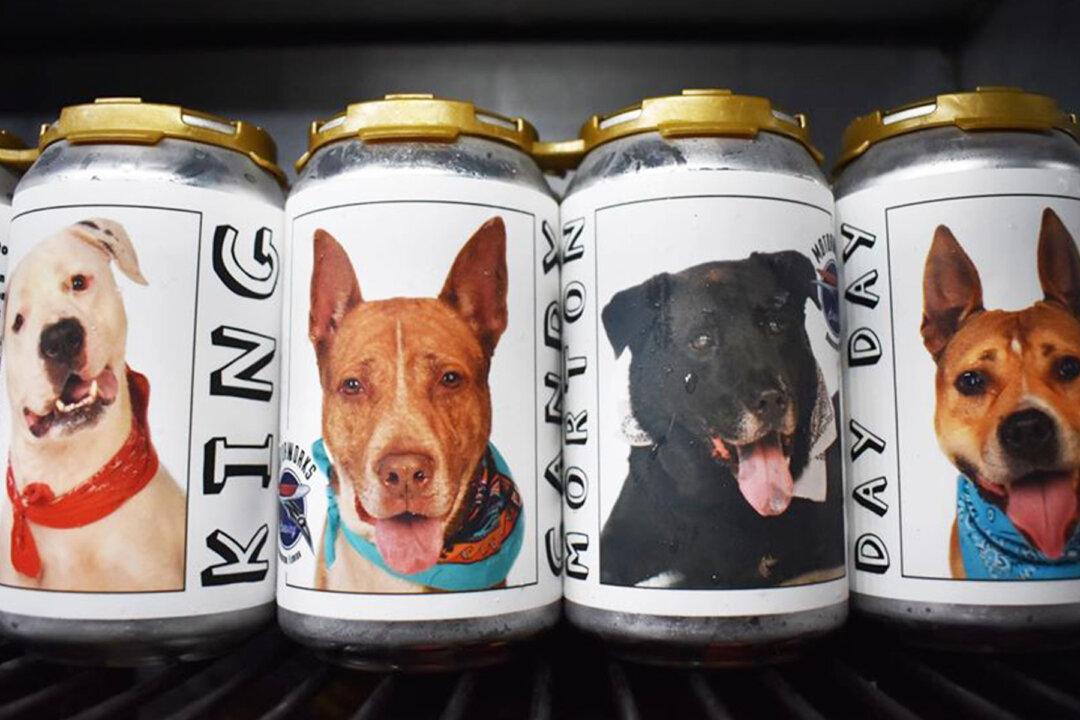Owner Spots Long-Lost Dog on a Beer Can 3 Years After the Pup Went Missing