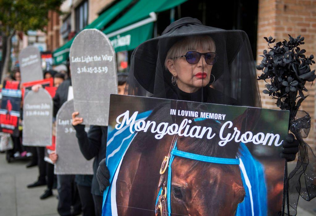 Renewed Scrutiny of Race Horse Welfare Centers on Los Alamitos Track