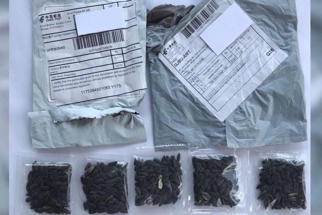 US Residents Receive Mysterious Seed Packages From China