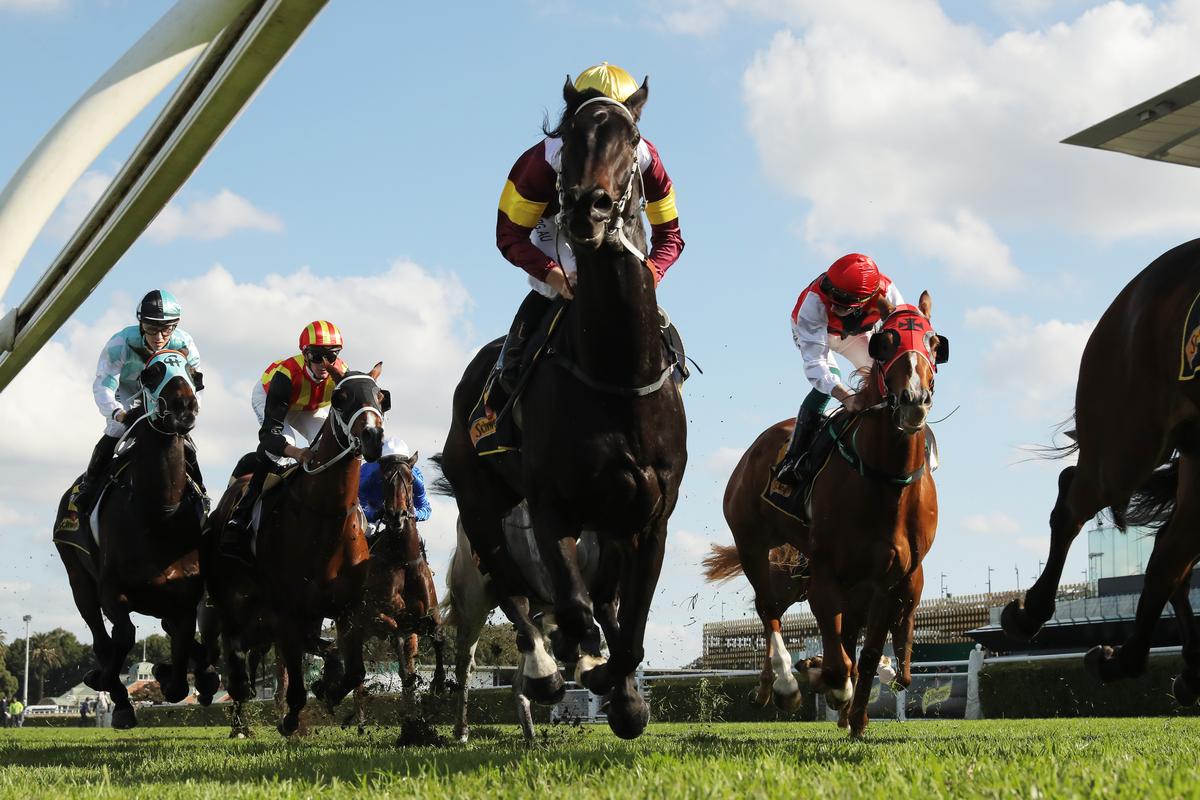 Australian Broadcasting Corporation Sued by Racing Supremo for Portraying Him Condoning Wholesale Horse Slaughter