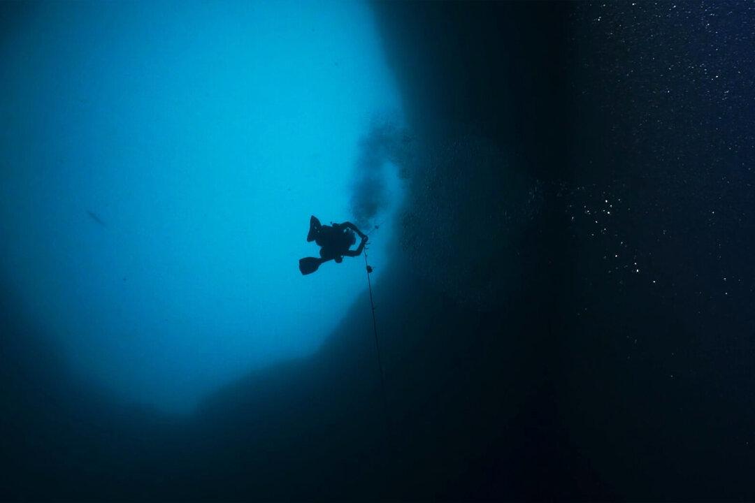 Scientists Dive to the Bottom of Mysterious ‘Blue Hole’ Off the Coast of Sarasota, Florida