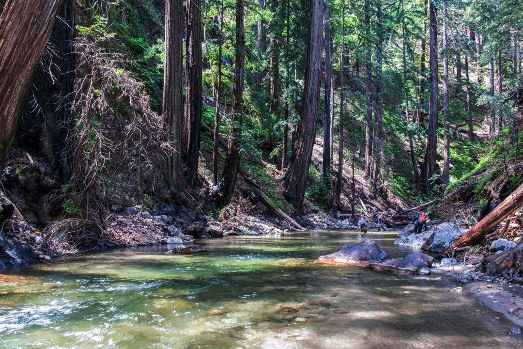 ‘Indigenous Land Acknowledgments’ Could Have Unintended Effects