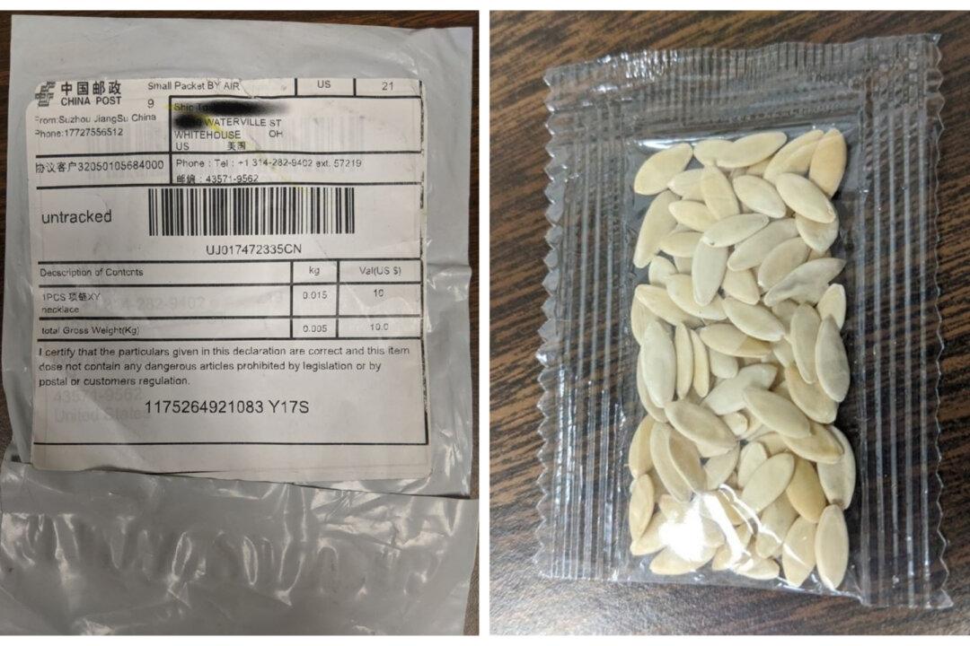 All 50 US States Warn About Unsolicited Seed Packages That Appear to Be From China