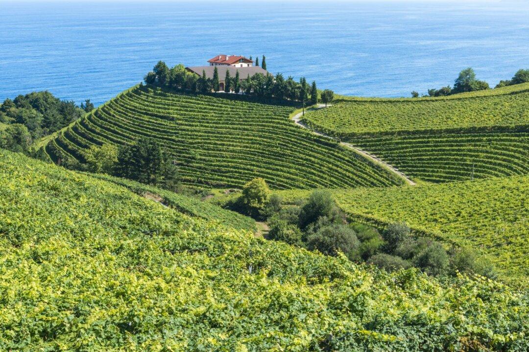 Txakoli: The Most Refreshing Spanish Wine You’ve Never Heard Of