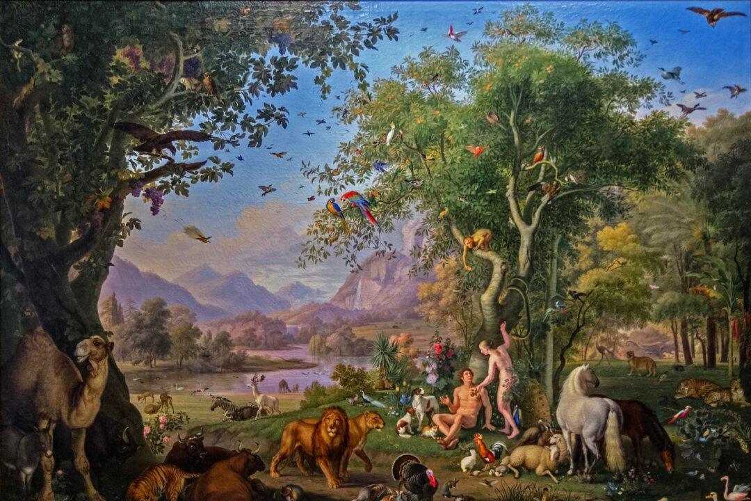 All Good in the Garden