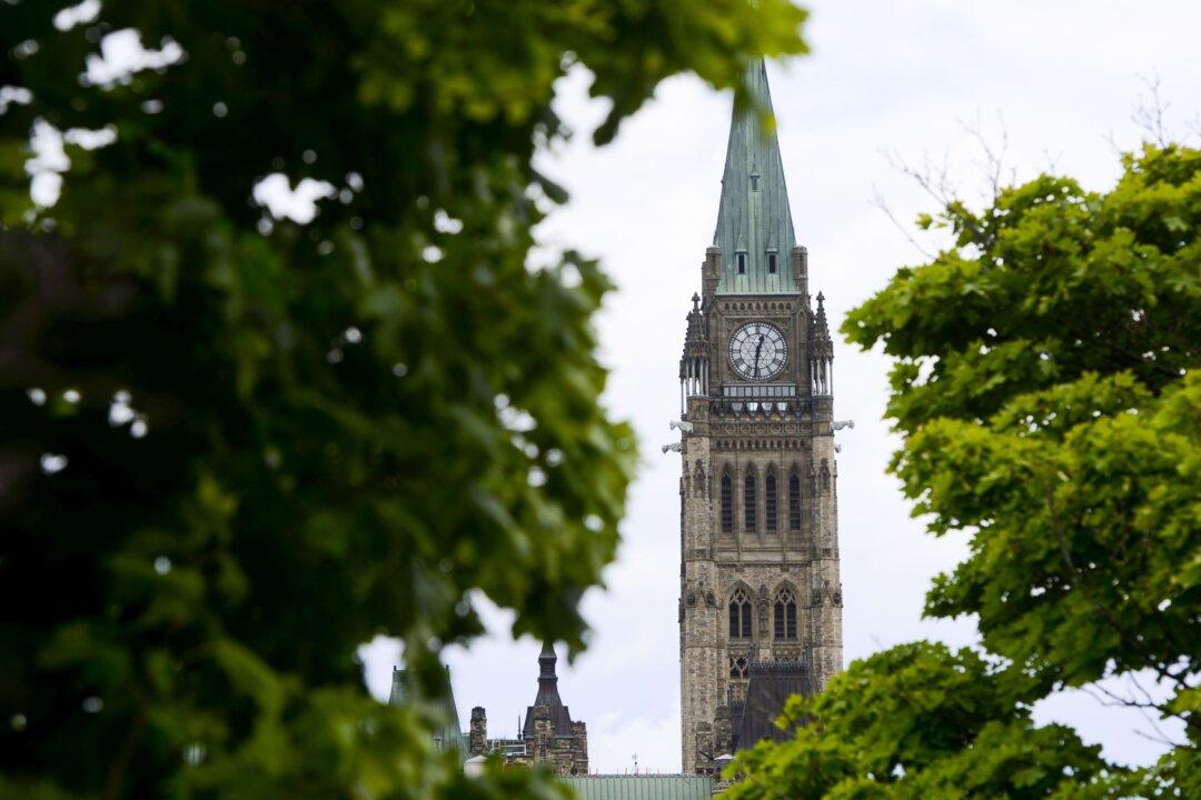 Eligibility Criteria Should Be Evaluated in Transitioning CERB to EI, Expert Says