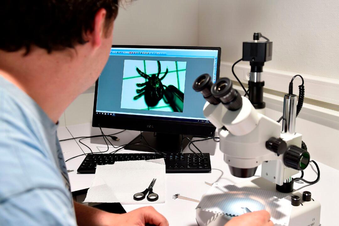 Rare Tick-Borne Disease Cases Reported in the UK