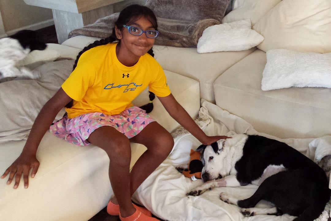 Adopted 14-Year-Old Girl Helps Senior Dogs Find a Forever Home Just Like She Did