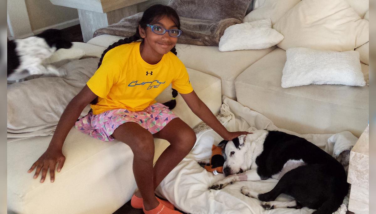 Adopted 14-Year-Old Girl Helps Senior Dogs Find a Forever Home Just Like She Did