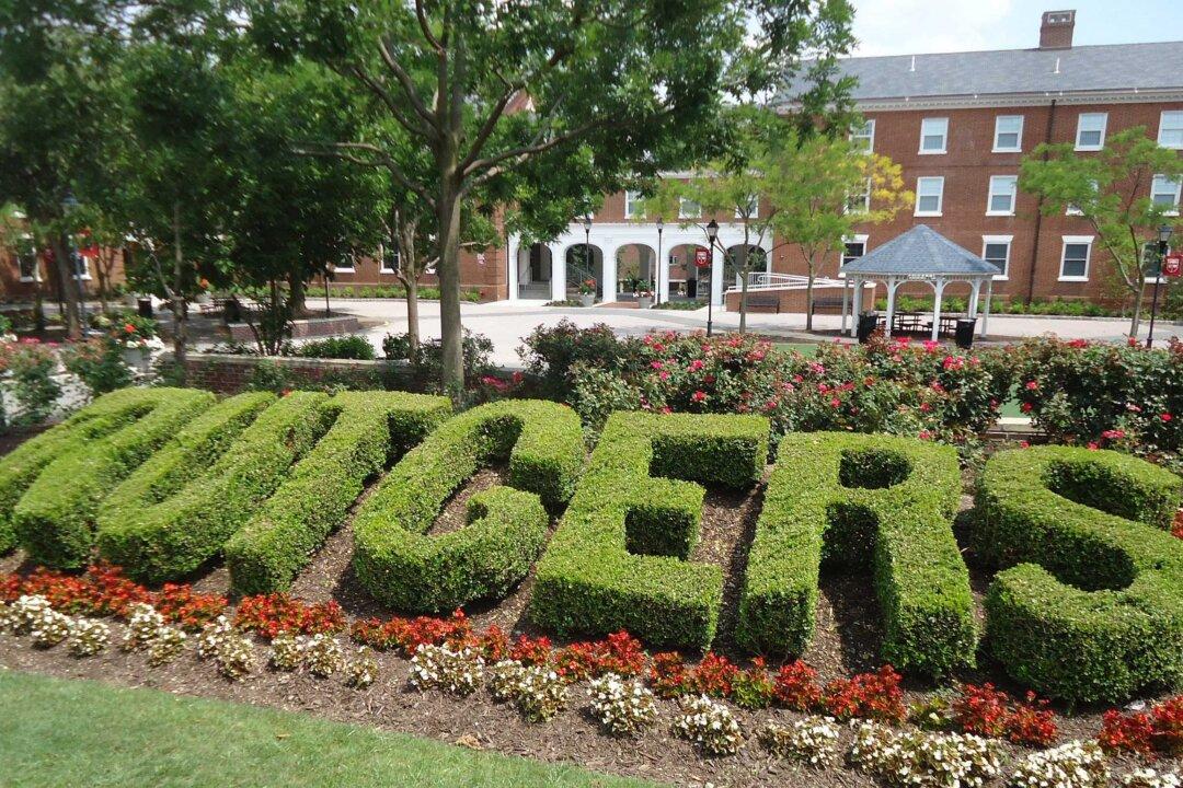 Institutional Wokeness Is Destroying American Higher Education