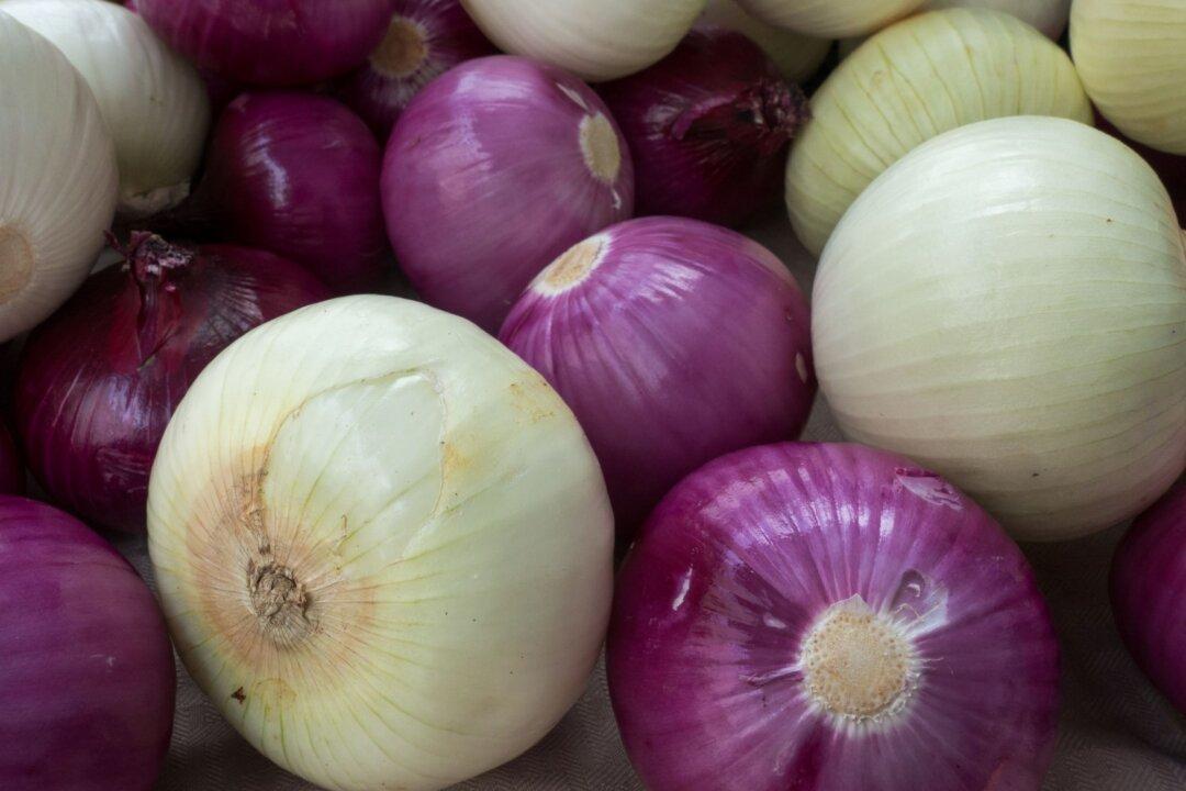 Salmonella Outbreak Linked to Onions Expands to Hundreds of People Sickened in 43 States