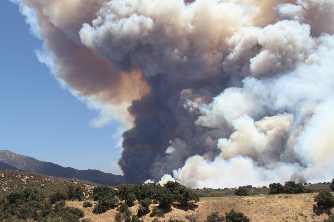 Arson Speculation About Apple Fire Spreads Like Wildfire