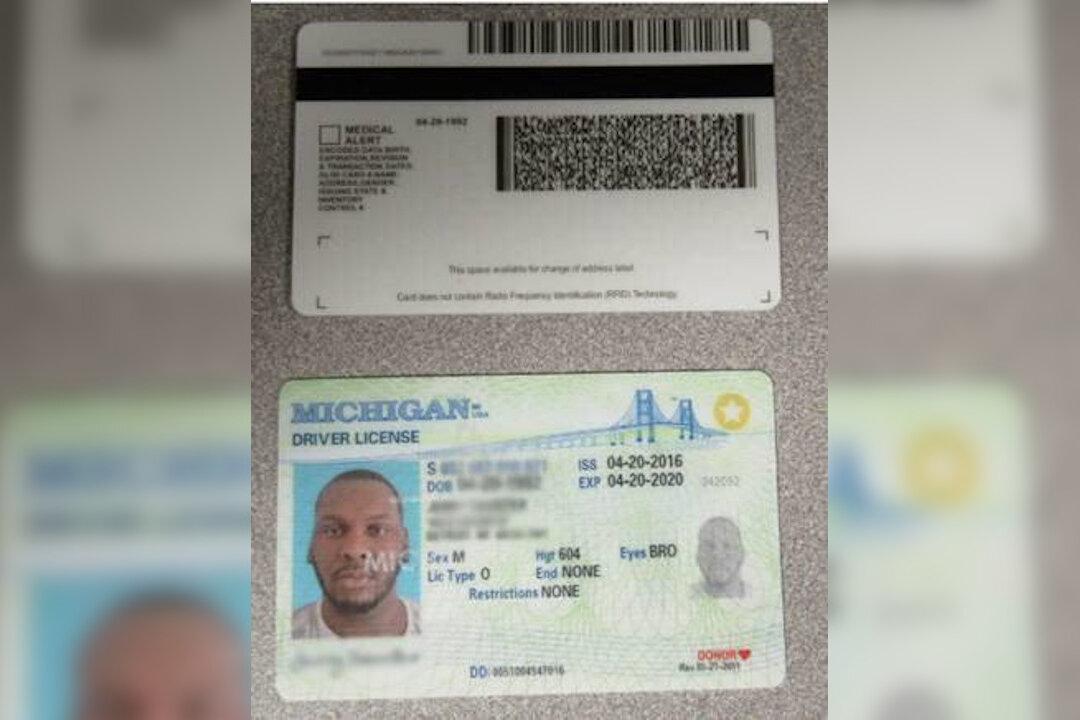 81,000 Illegal Immigrants Will Soon Be Eligible Under Minnesota’s ‘Driver’s License for All’ Program