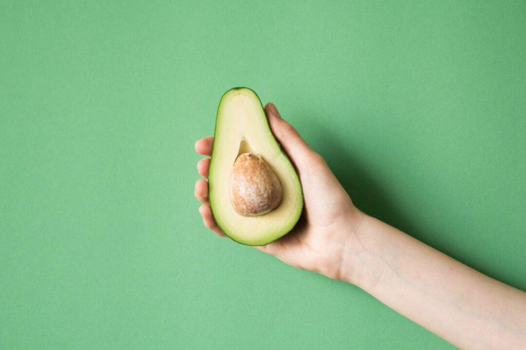 Love Avocados? Thank the Toxodon