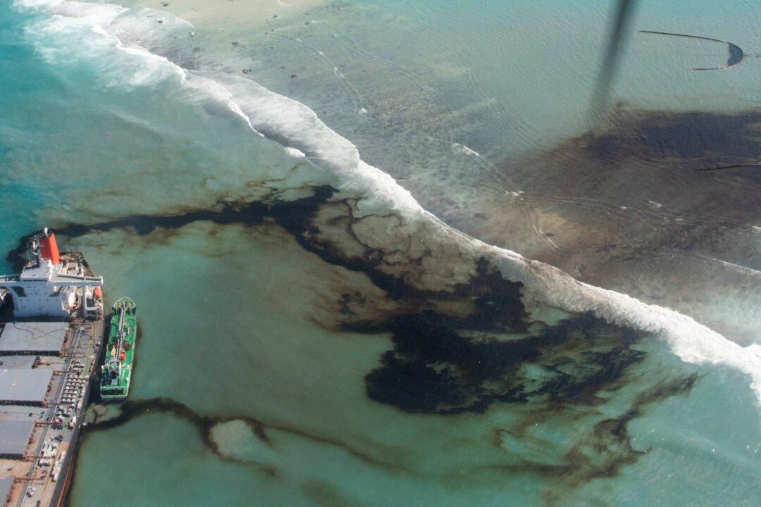 Sea Life Around Mauritius Dying as Japanese Ship Oil Spill Spreads