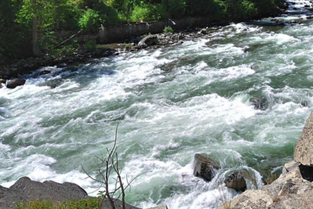 Off-Duty Officers on Vacation Rescue 5-Year-Old Boy From Nearly Drowning in Washington River