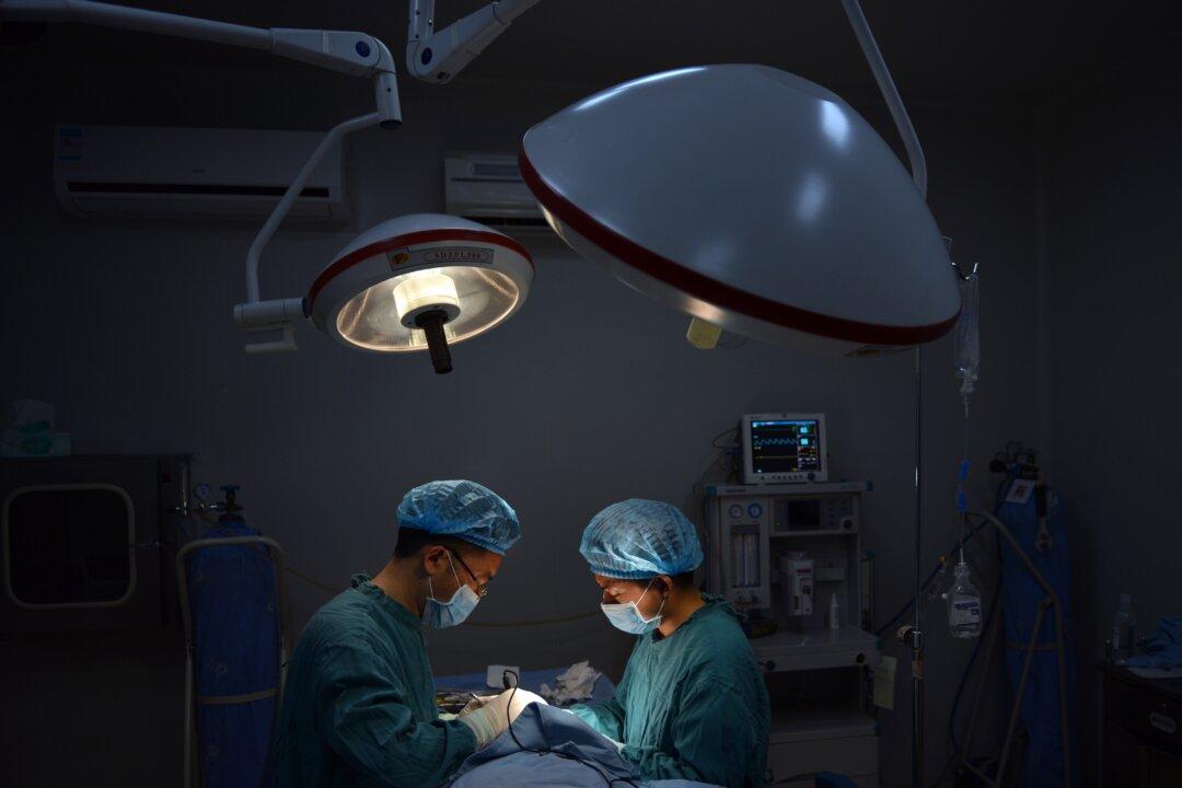 4 Hearts in 10 Days: China’s ‘On Demand’ Organ Bank Raises Concerns of Forced Harvesting