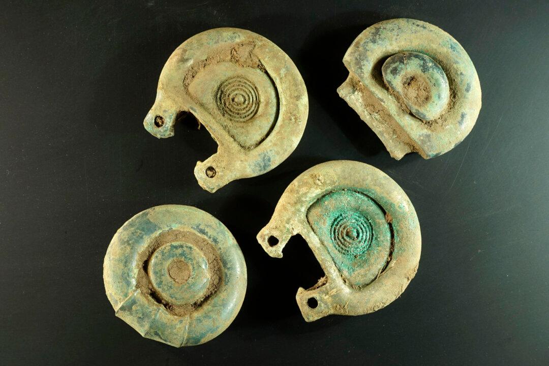 Treasure-Hunter Finds 3,000-Year-Old Hoard in Scotland