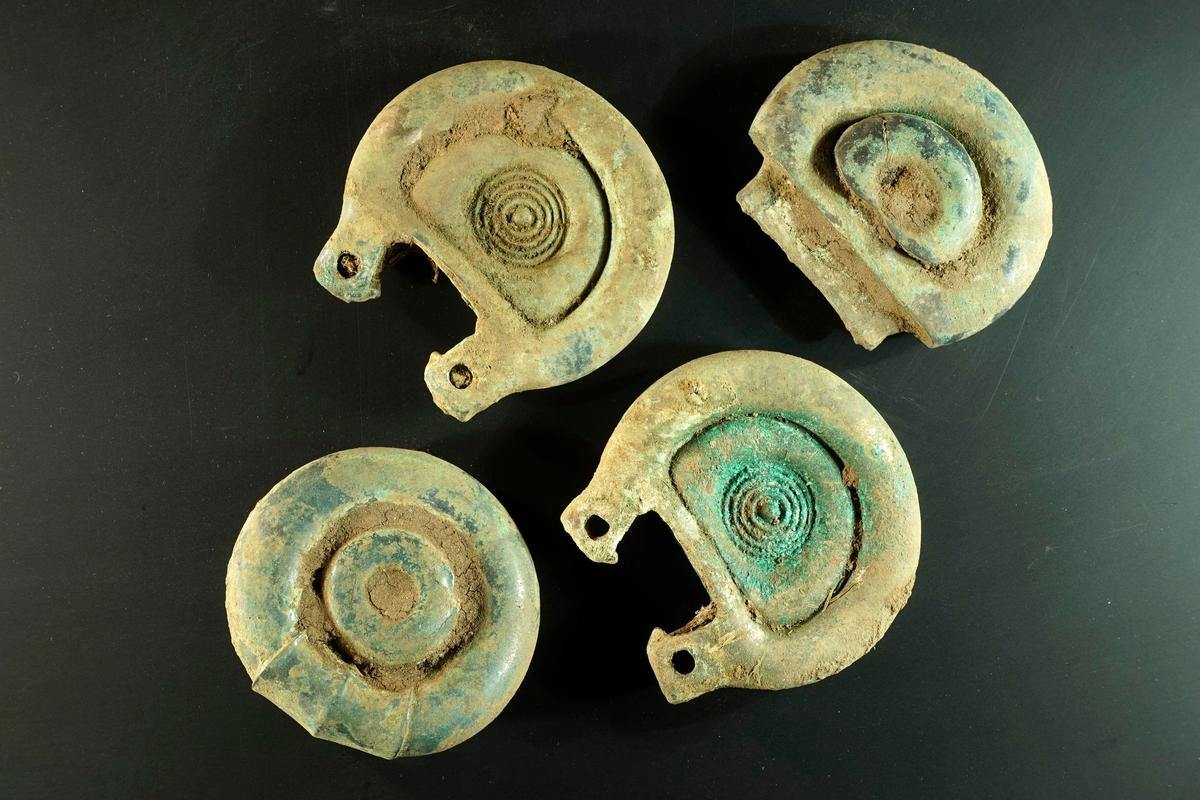 Treasure-Hunter Finds 3,000-Year-Old Hoard in Scotland
