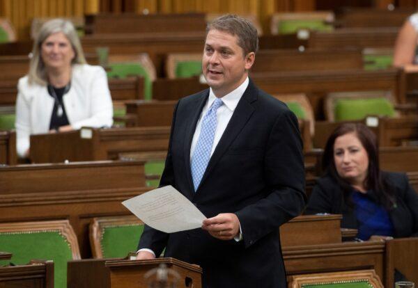 Conservatives' House leader Andrew Scheer in a file photo. (The Canadian Press/Adrian Wyld)