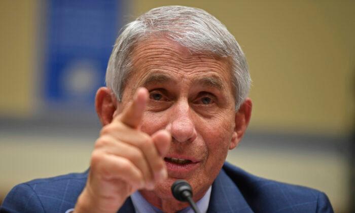 Fauci: In-Person Voting in November Can Be Done Safely