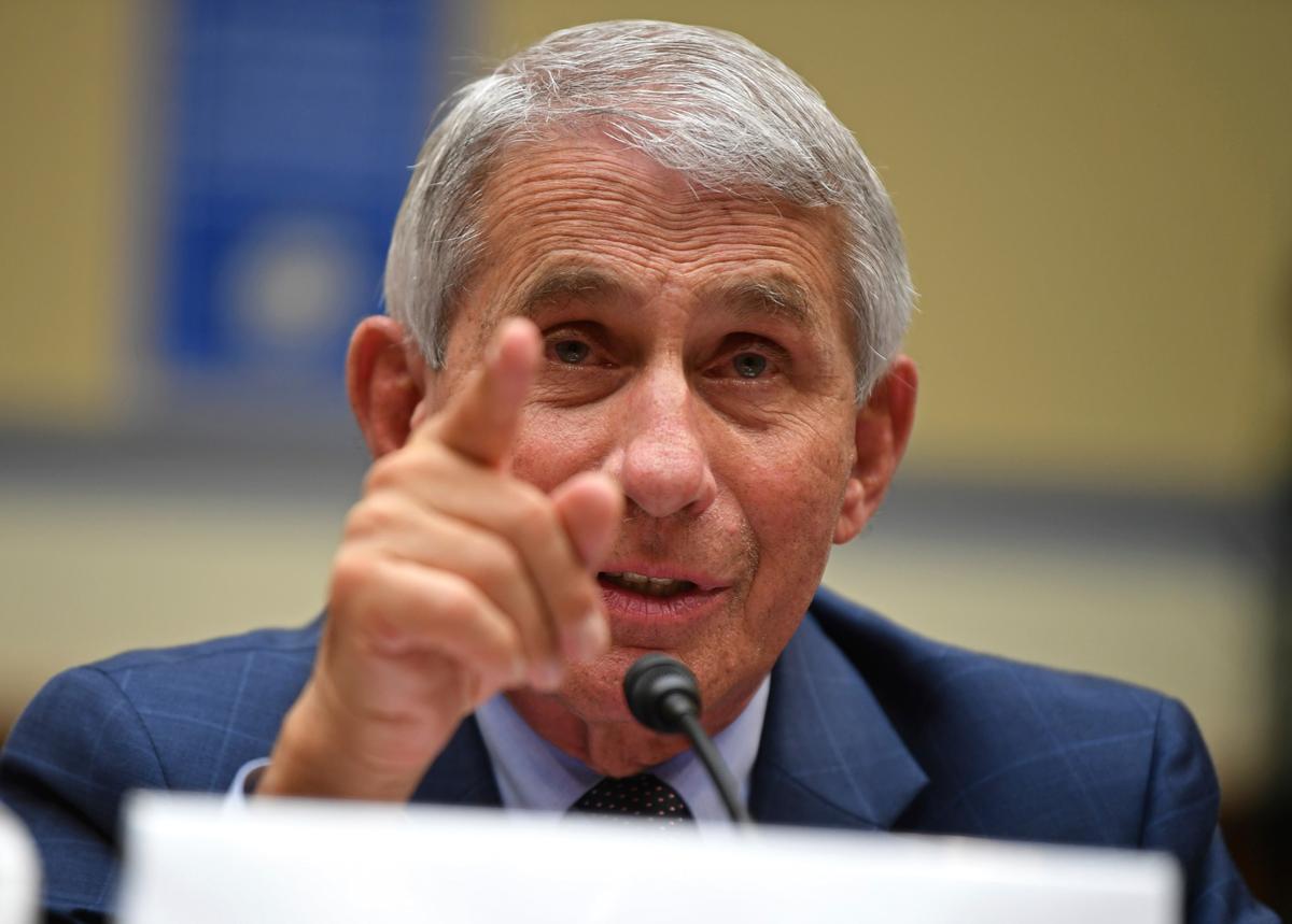 Fauci: In-Person Voting in November Can Be Done Safely