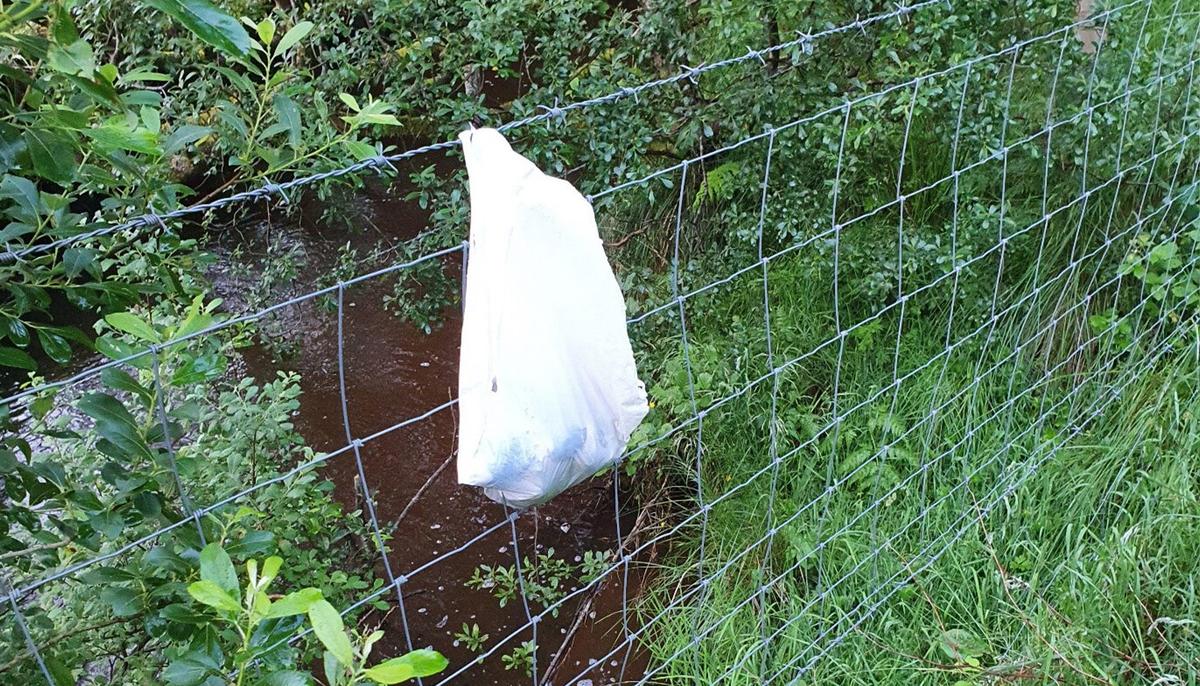 ‘Heartless’: Newborn Puppies Abandoned in Plastic Bag Hung on Barbwire Fence Get Rescued