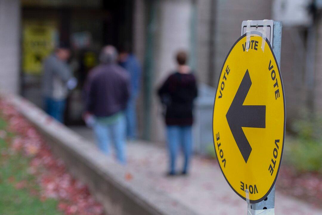 Parties Urged to Agree on Safe Way to Hold Possible Election in Pandemic