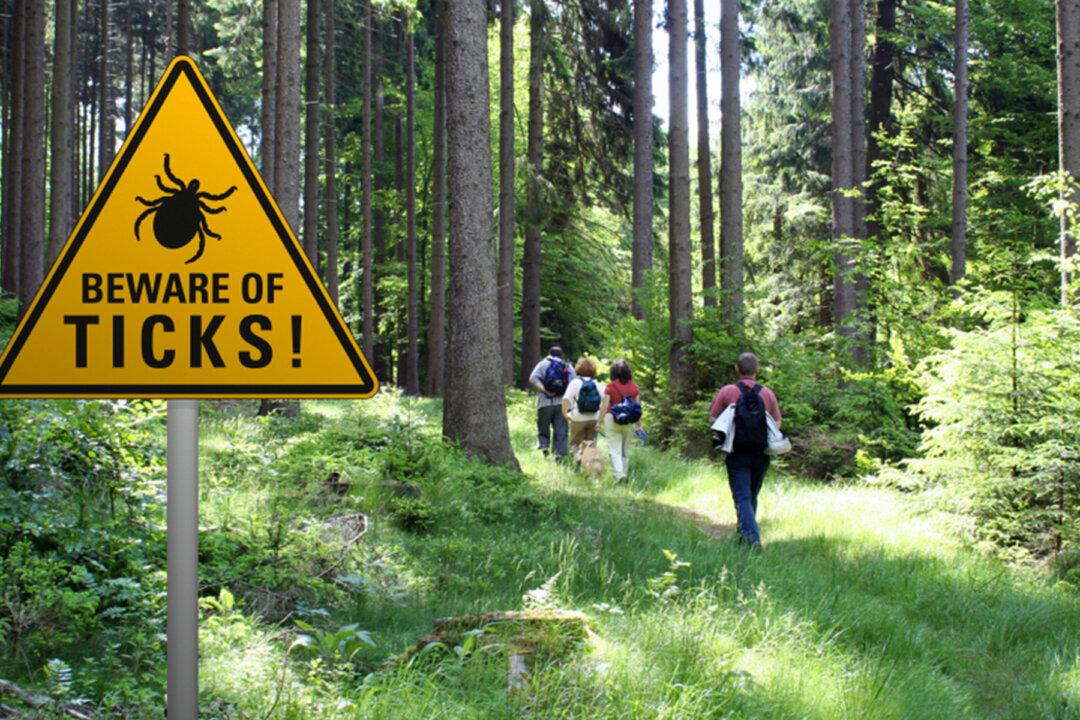 Woman Died After Contracting Fatal Tick-Borne Virus, Heartbroken Family Warns Public