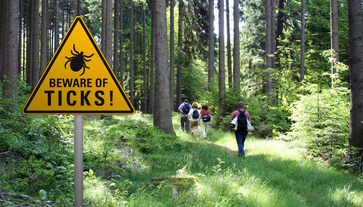 Woman Died After Contracting Fatal Tick-Borne Virus, Heartbroken Family Warns Public