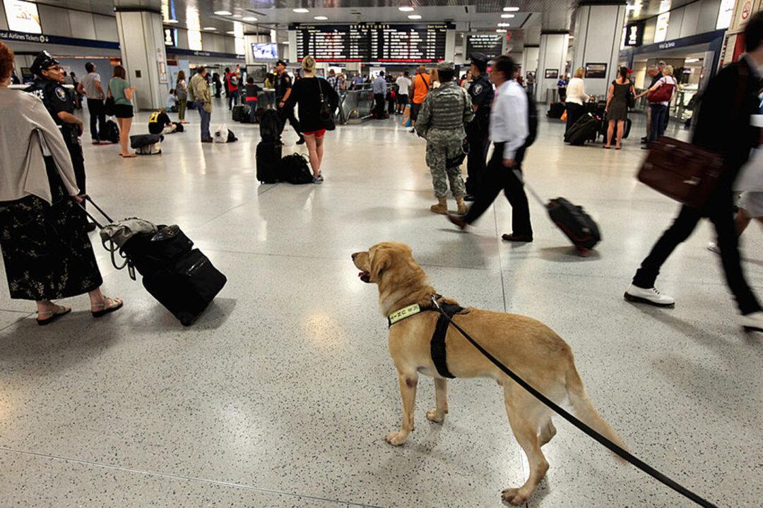 Police K9s Trained to Sniff Out Devices: a Game Changer Catching Child Porn Offenders