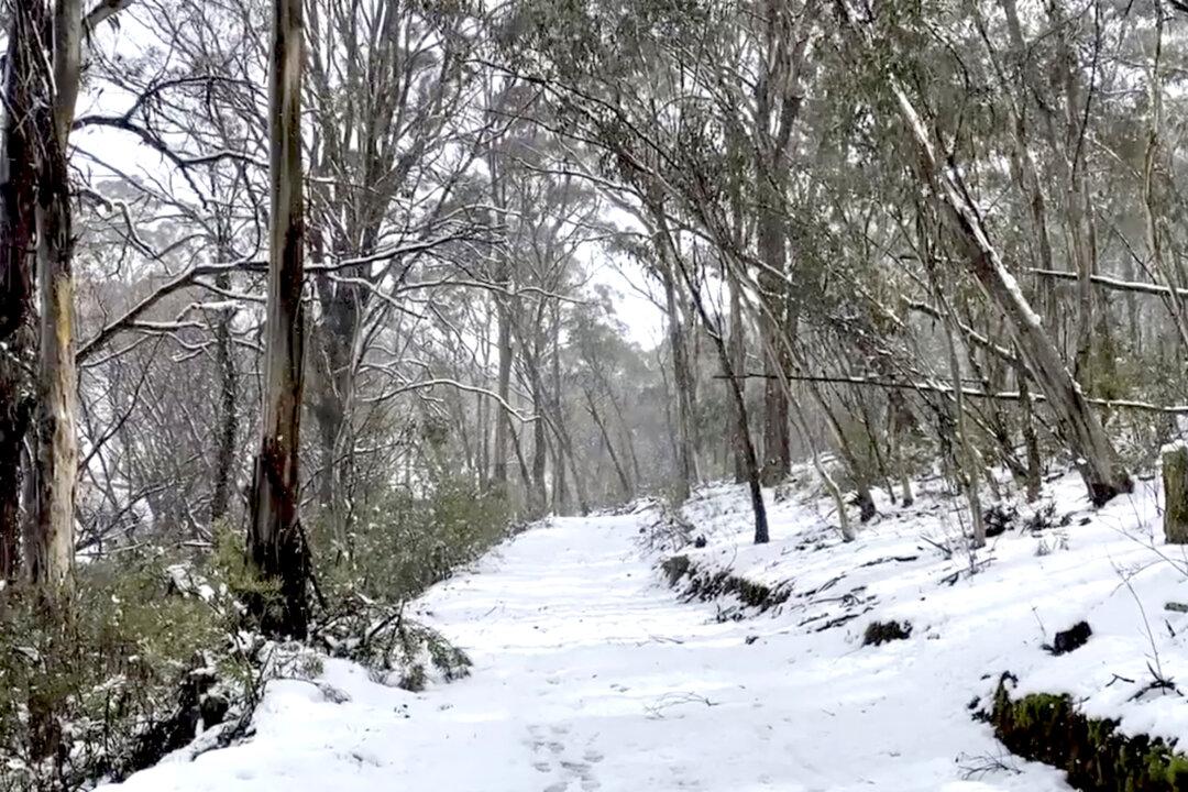 Antarctic Winds Trigger Rare Snowfall Across Southeast Australia