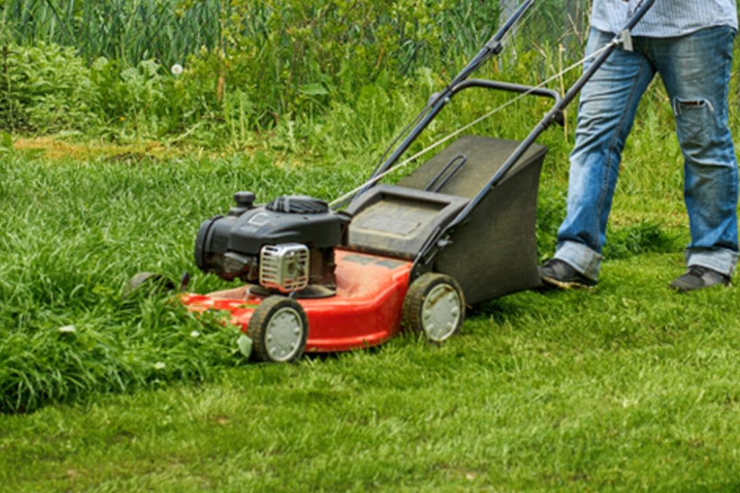Man Who Mows Lawns for Veterans in All 50 States Now Delivering Supplies to Elderly