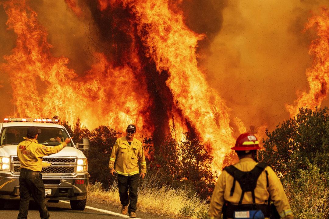 California Requests Federal Emergency Order to Avert Blackouts