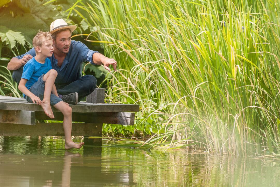 How to Bring More Joy Into Your Homeschool