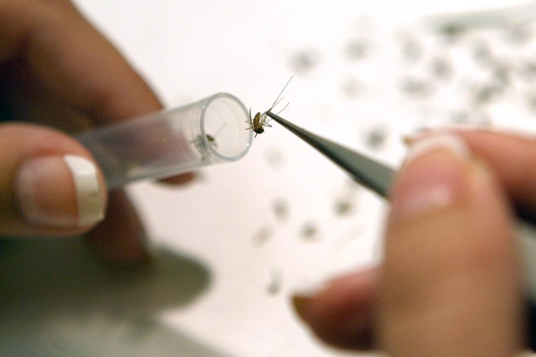 Torontonian Hit by West Nile Virus, First Case in Toronto This Year