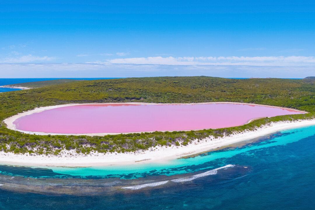 Photographer Captures Stunning Images of Dreamy Pink Hue Over an Australian Lake