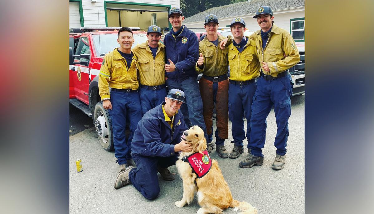 Golden Retriever, 2, Spreads Love and Offers Comfort to Firefighters Battling Woodward Fire