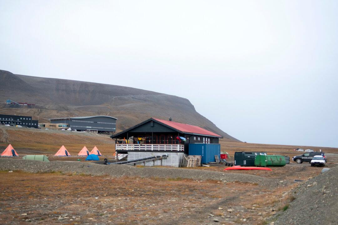 Man Killed by Polar Bear on Norway’s Arctic Svalbard Islands
