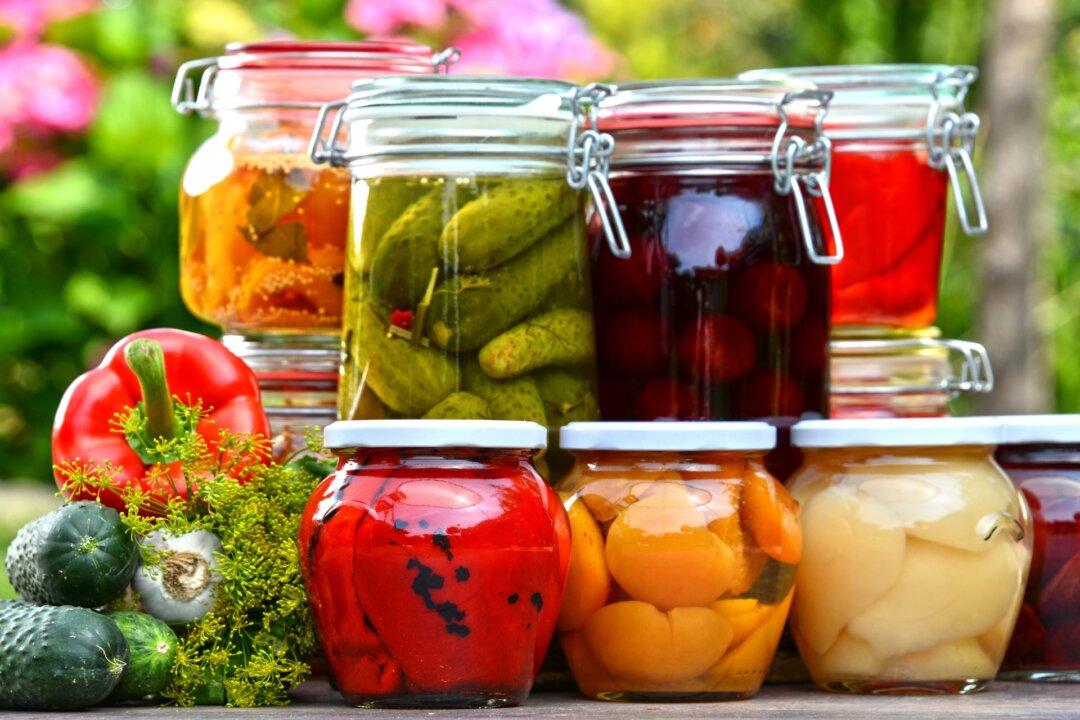 Protect Yourself from Respiratory Infections with Probiotics