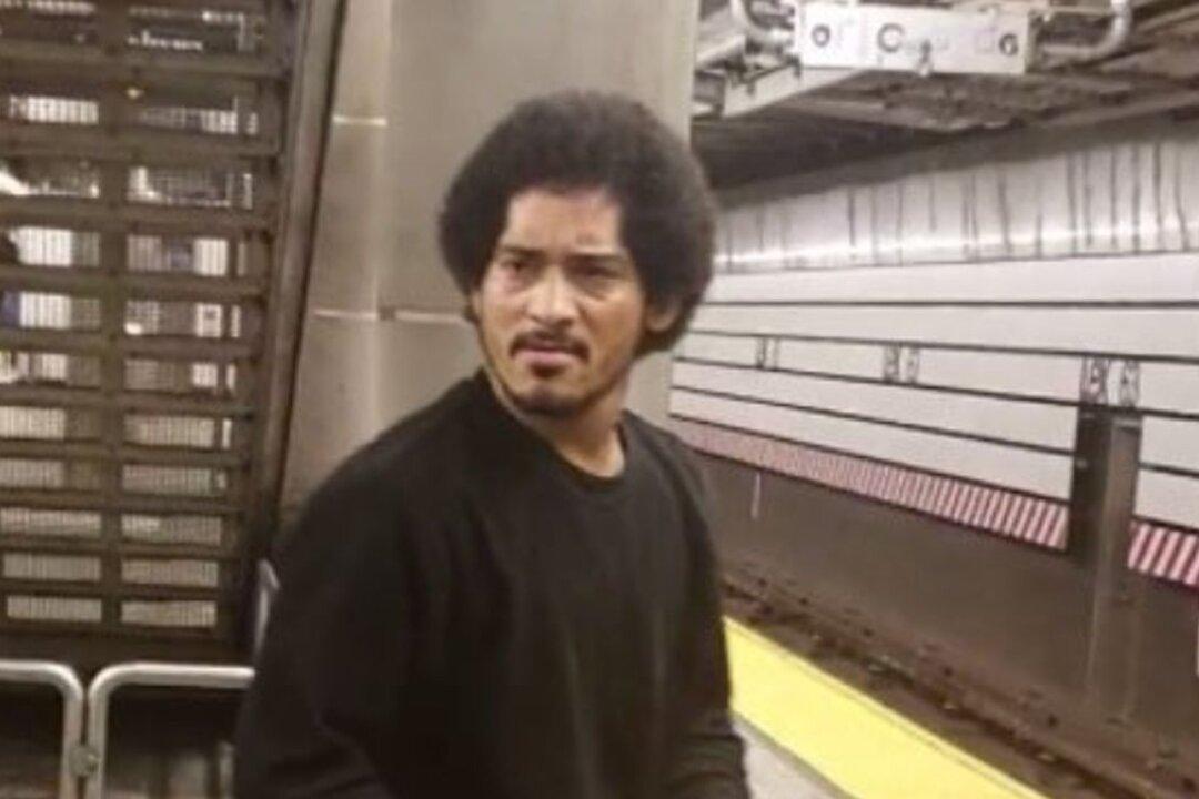 NYPD Hunts Suspect Who Tried to Rape Woman on Subway Platform