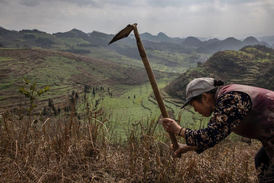 Chinese Villagers Struggle to Subsist After Being Forcibly Relocated by Authorities