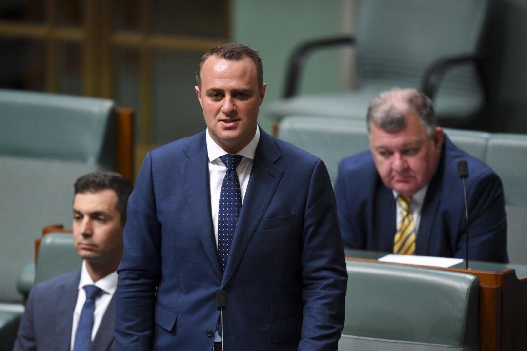 Hung Parliament Will Benefit Authoritarian Regimes: Australian MP Warns