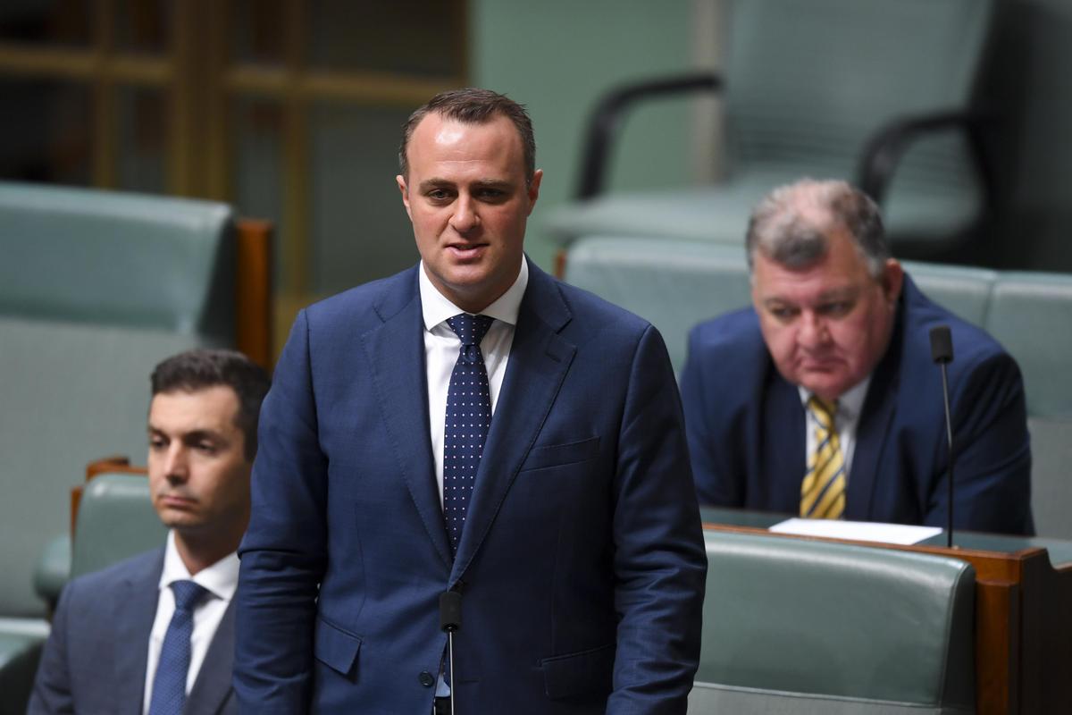 Hung Parliament Will Benefit Authoritarian Regimes: Australian MP Warns