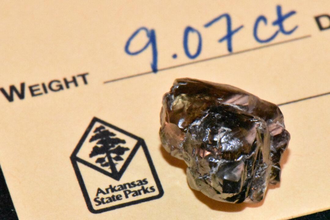 Man Finds 9-Carat Diamond at Arkansas State Park, Second Largest in Park’s History