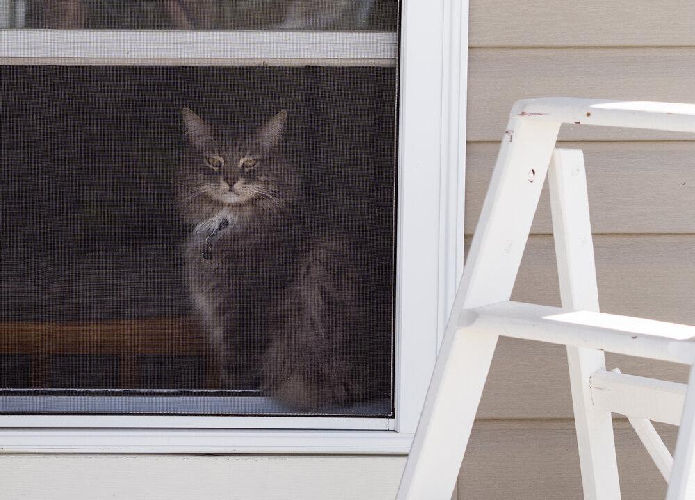 It Isn’t Difficult to Fix Your Own Window/Door Screens