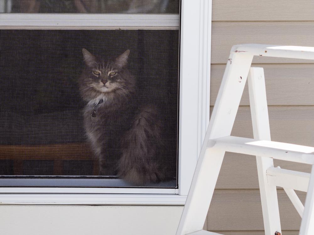 It Isn’t Difficult to Fix Your Own Window/Door Screens