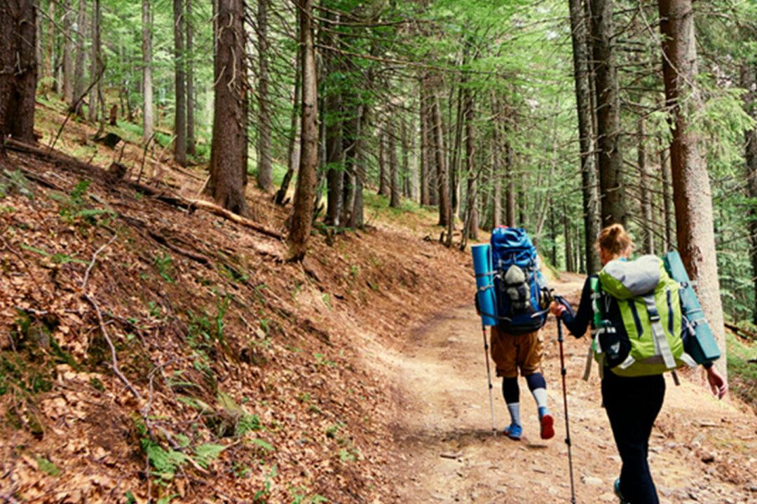 Injured Hiker Found by Dad and Kids Delirious and Skinny After 14 Days Stranded in Forest