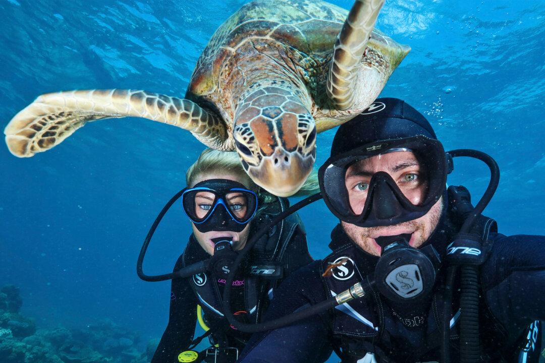 5 of the Funniest Animal Photobombs That Will Brighten Your Day